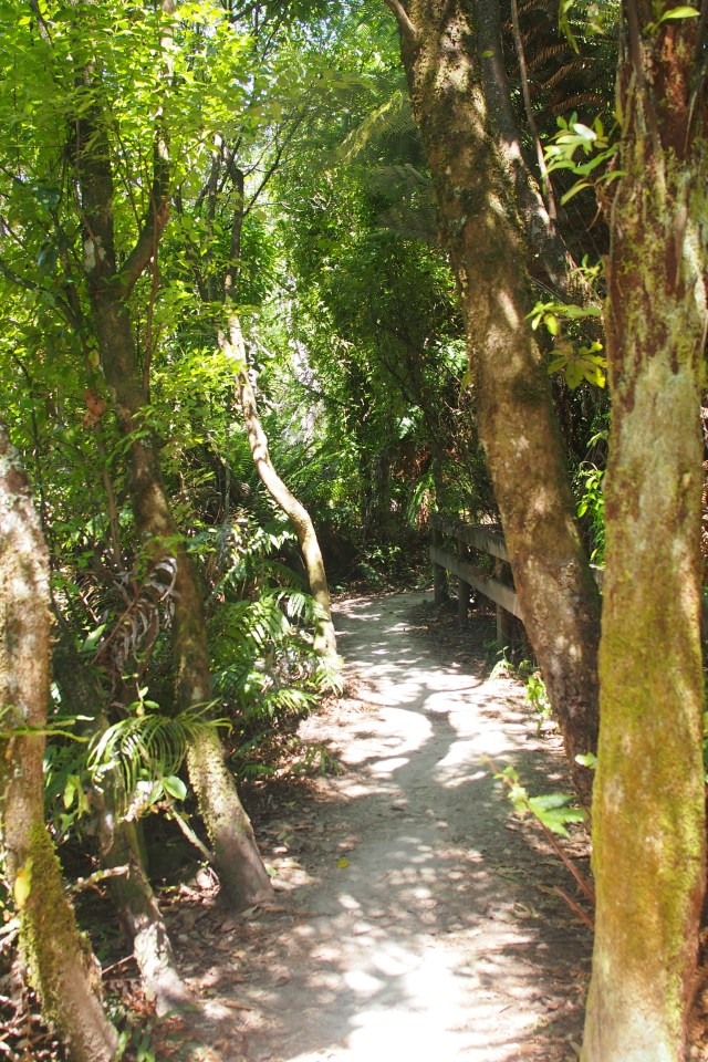 Exploring Kuratau – Exploring the Long White Cloud